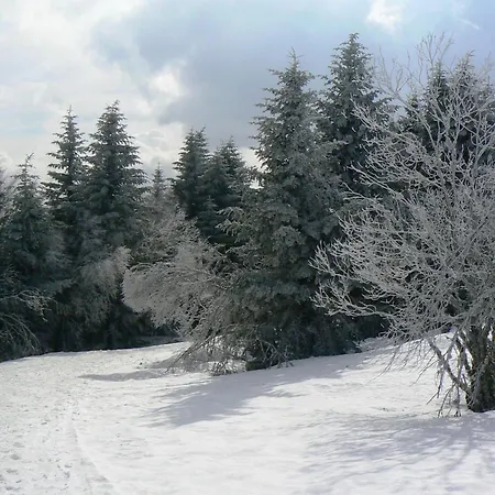 La Coudraie Des Familles