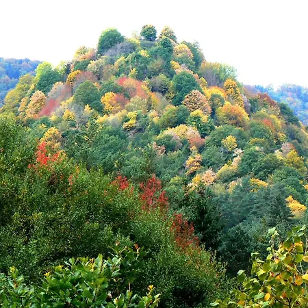 La Coudraie Des Familles *