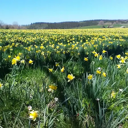 La Coudraie Des Familles 公寓