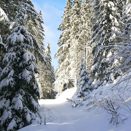 公寓 La Coudraie Des Familles 拉布尔布勒